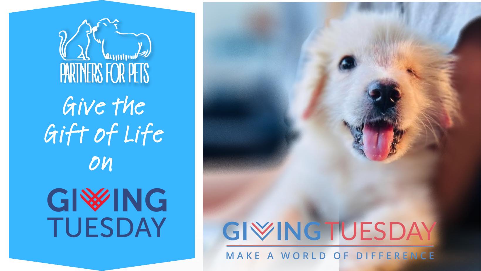 Partners for Pets' 2023 Giving Tuesday Fundraising Page